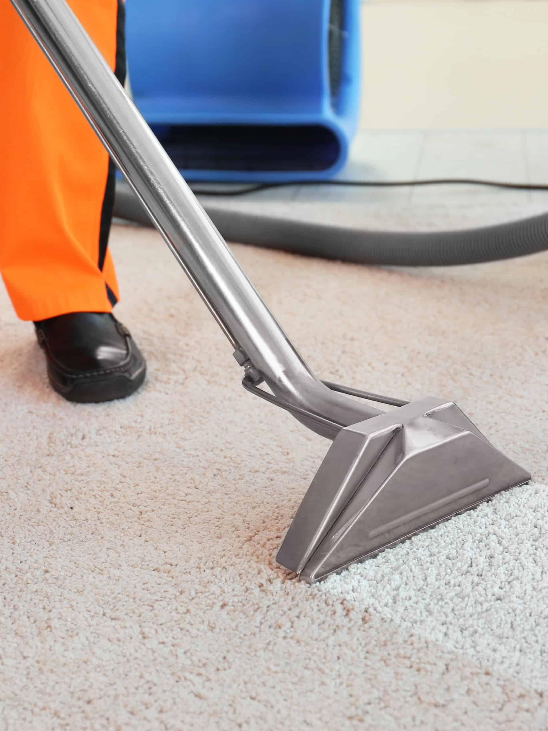 Cleaning service concept. Dry cleaner's employee removing dirt from carpet in flat, closeup
