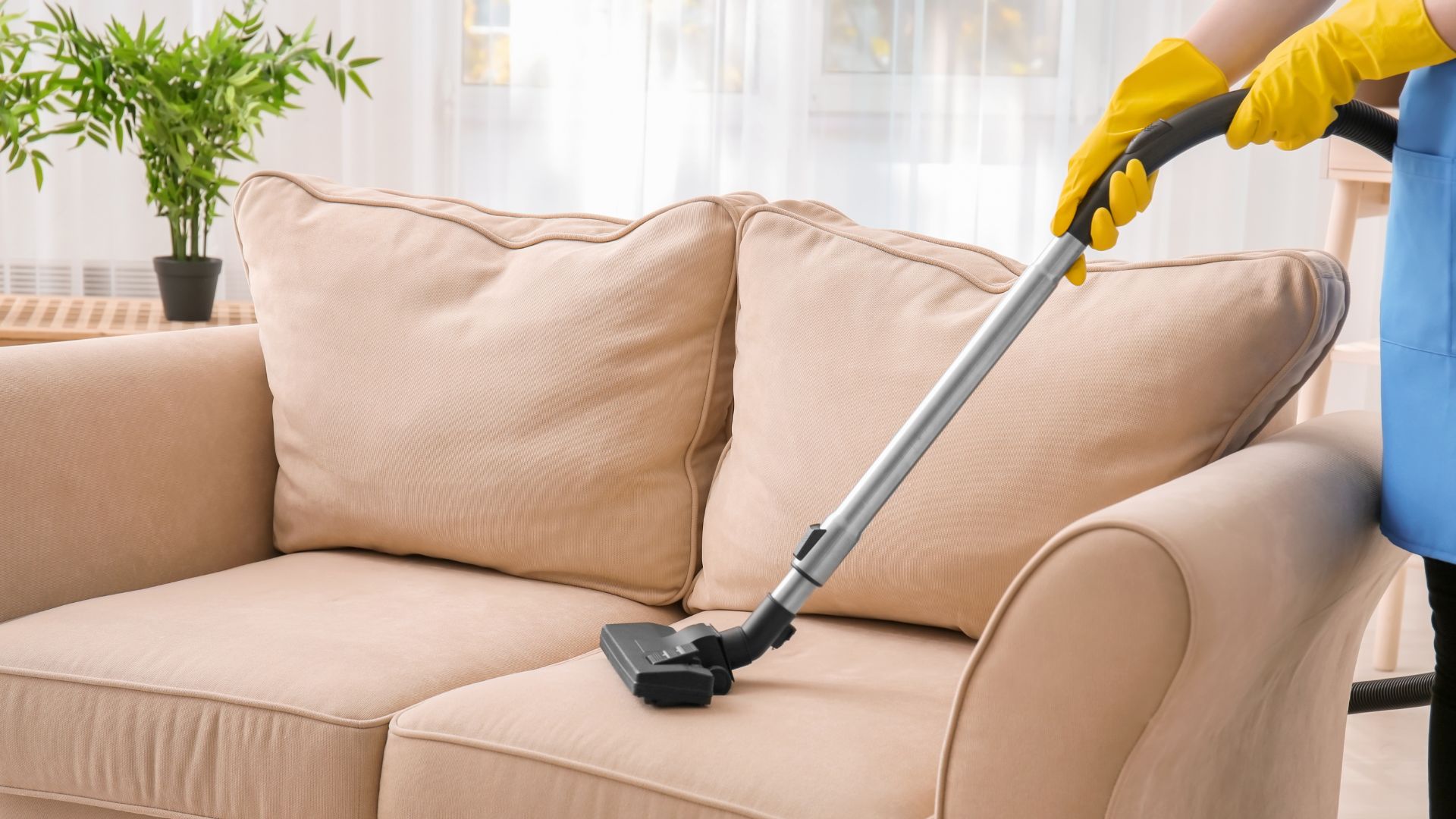 Couch cleaning with vacuum