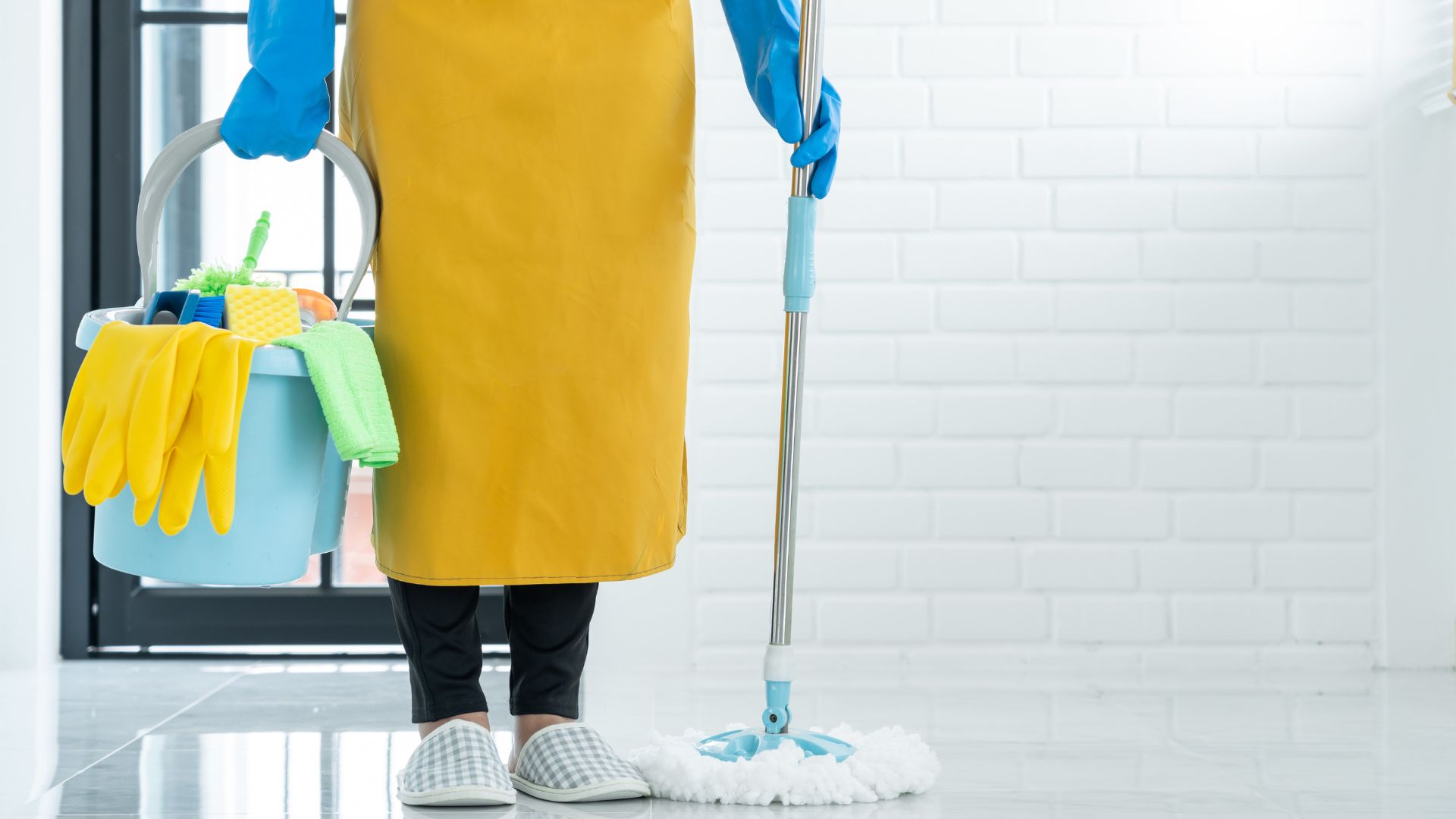 Maid holding cleaning supplies