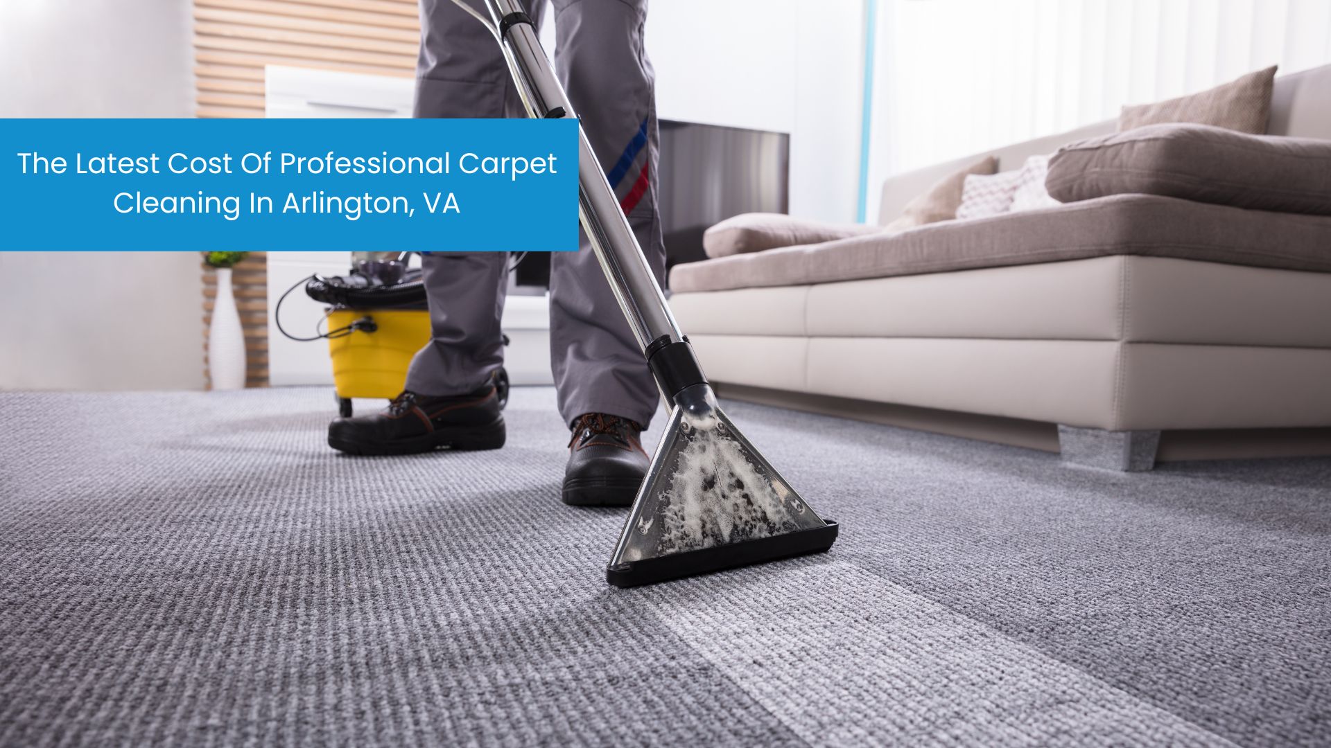 The Latest Cost of Professional Carpet Cleaning In Arlington, VA