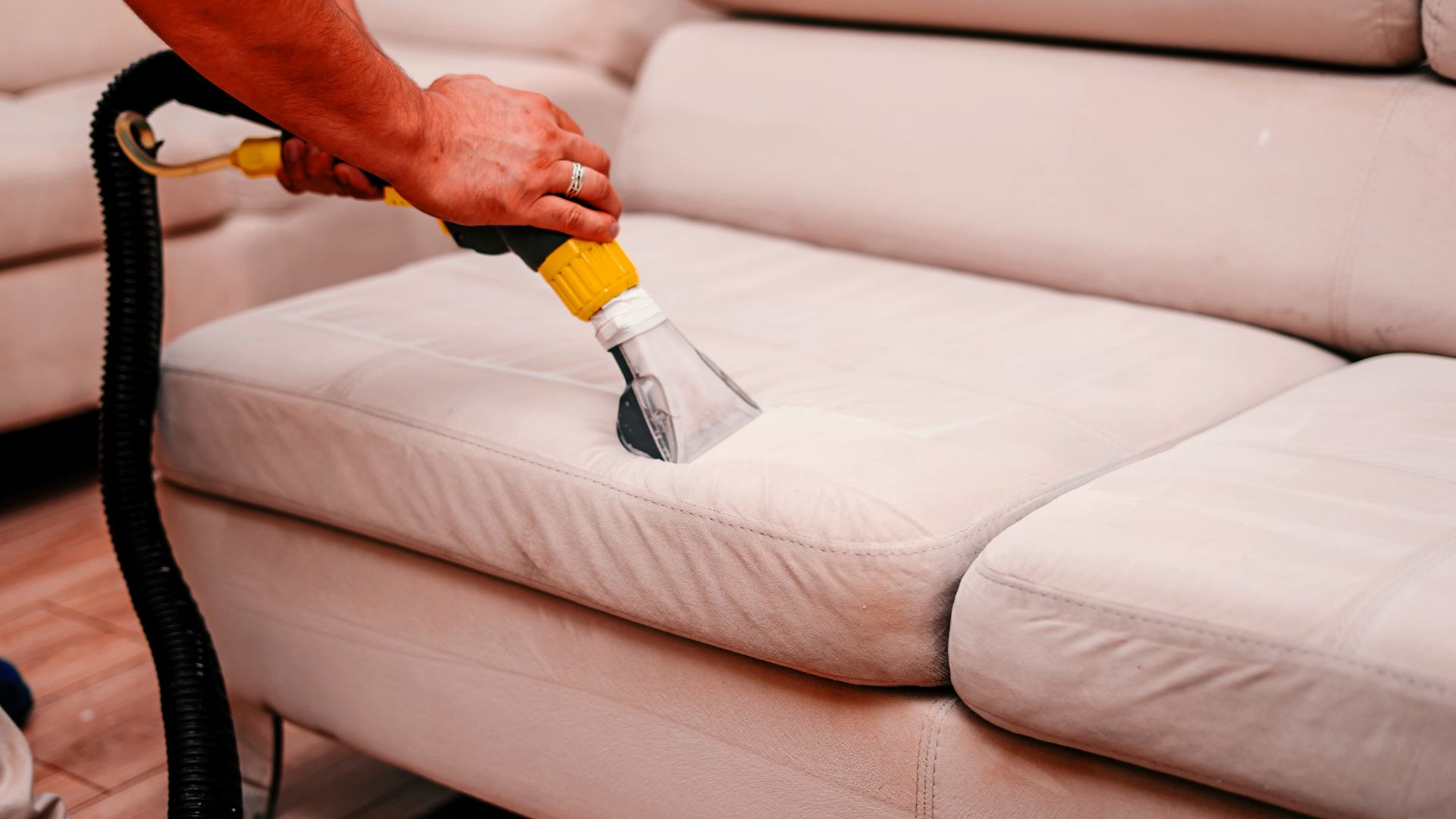 Professional Upholstery Cleaning Cost