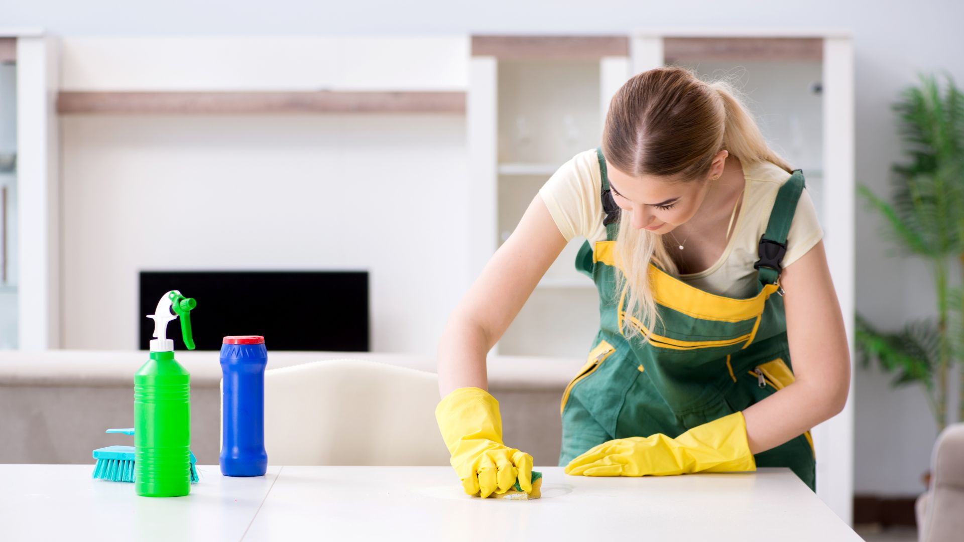 Female cleaner cleaning a table