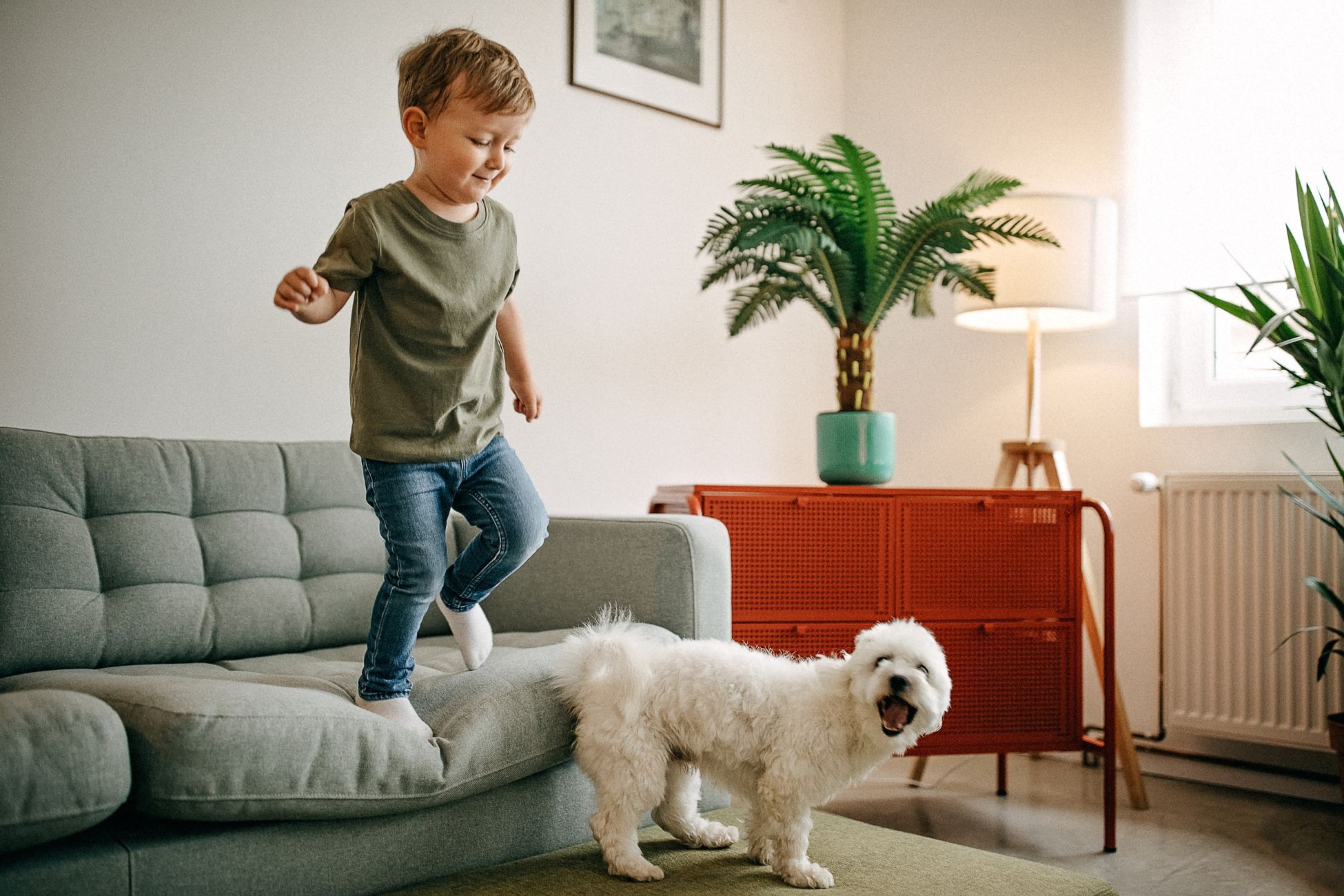 A kid and his pet dog playing in living room