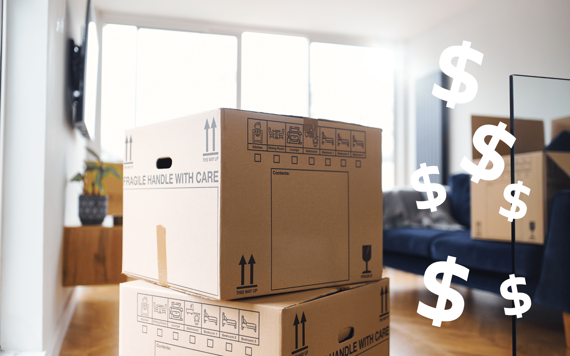 Move in/out boxes