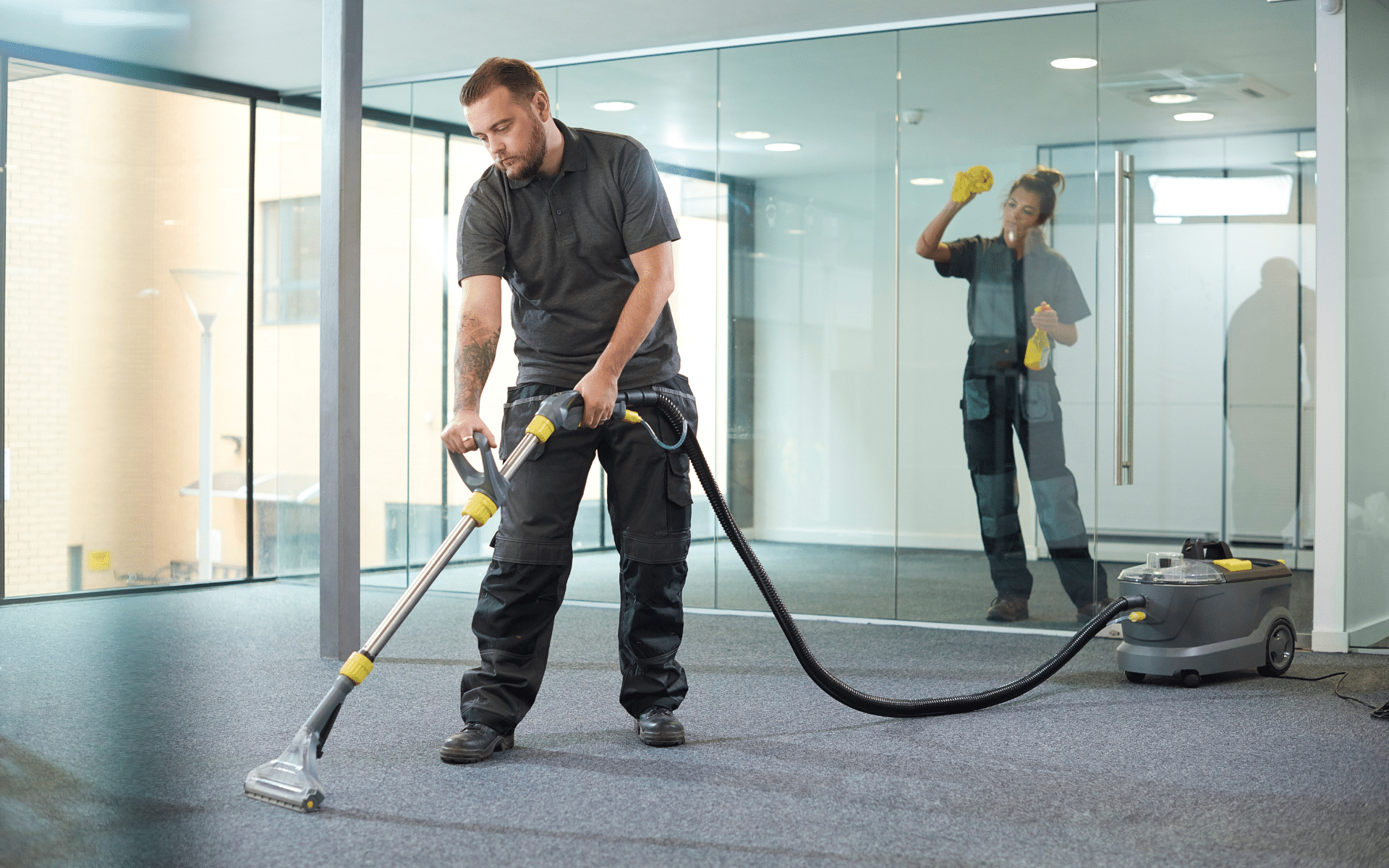 Professional carpet cleaning and window cleaning