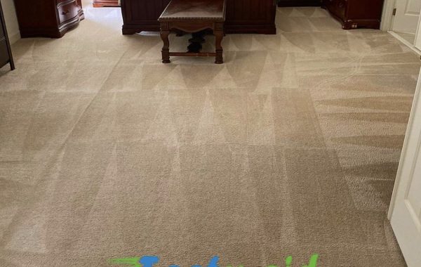 carpet cleaning in Fairfax